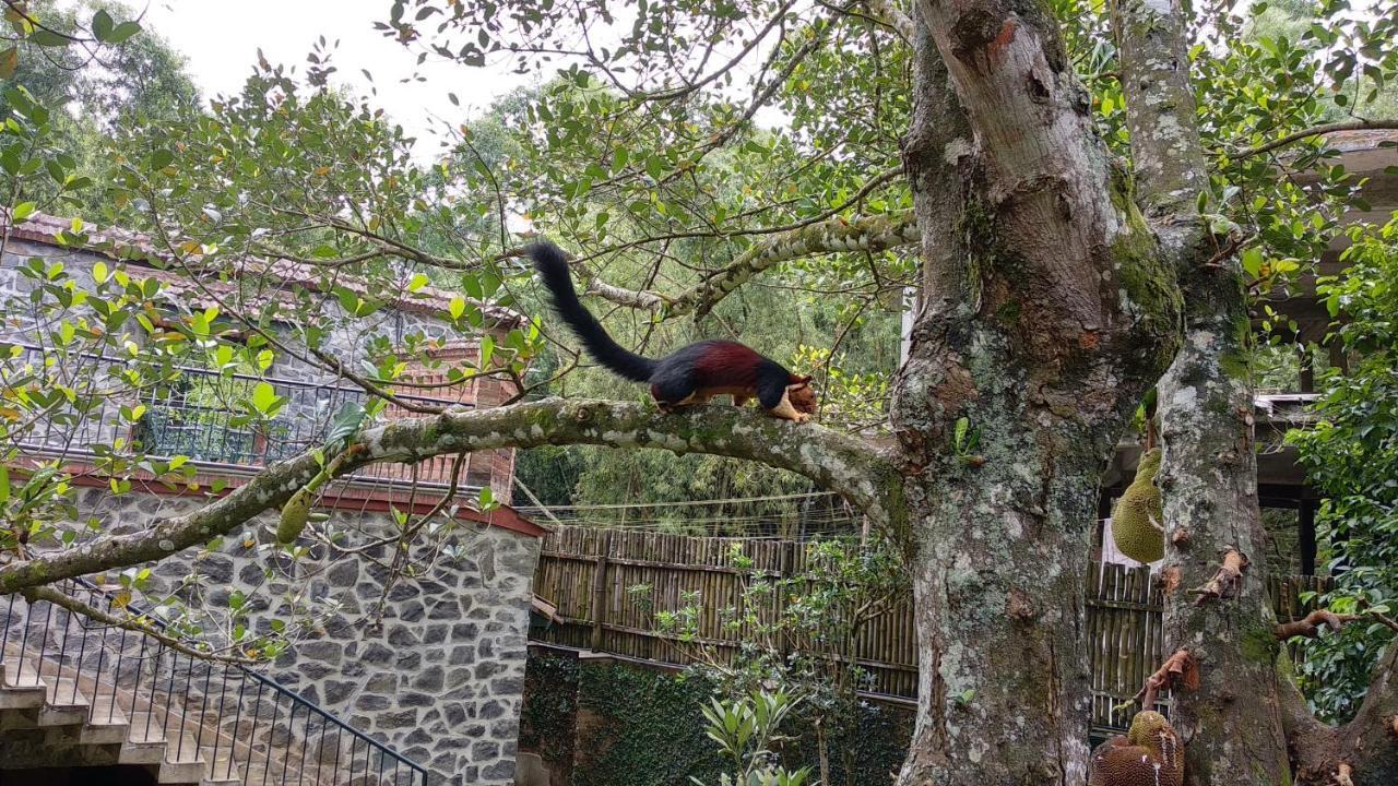 Wildernest Bed and Breakfast Thekkady Eksteriør billede